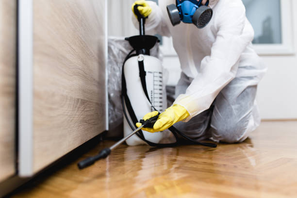 Best Wasp Removal Services  in Lakeside, FL